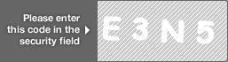 captcha code for visual authentication  letter E number 3 letter N number 5