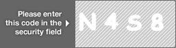 captcha code for visual authentication  letter N number 4 letter S number 8