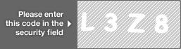 captcha code for visual authentication  letter L number 3 letter Z number 8