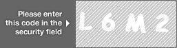 captcha code for visual authentication  letter L number 6 letter M number 2